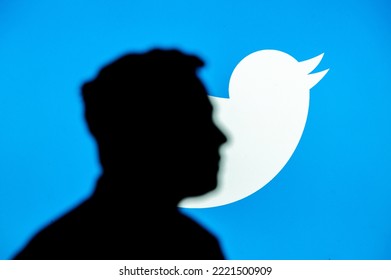 长期不用的X账号如何重新激活