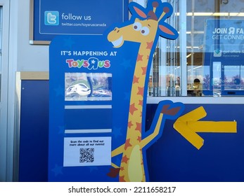 让账号更像真人：资料完善细节