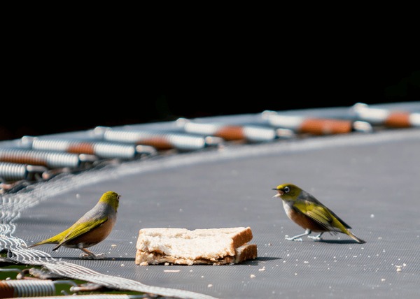 这5个错误别再犯